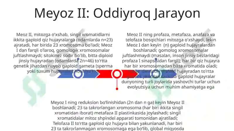 Meyoz I va II 3