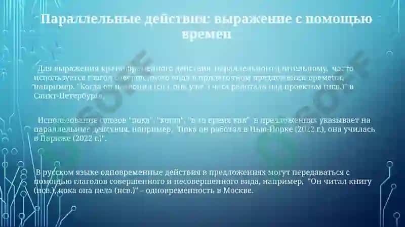Скелет туловища: анатомический обзор 3