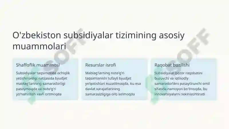 Subsidiyalar Tizimini Takomillashtirish 3