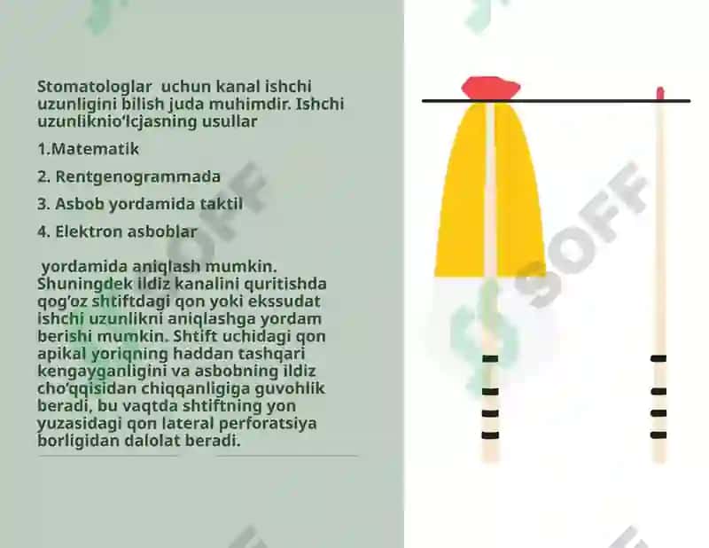 Ildiz kanalini ishchi uzunligini aniqlash usullari 3
