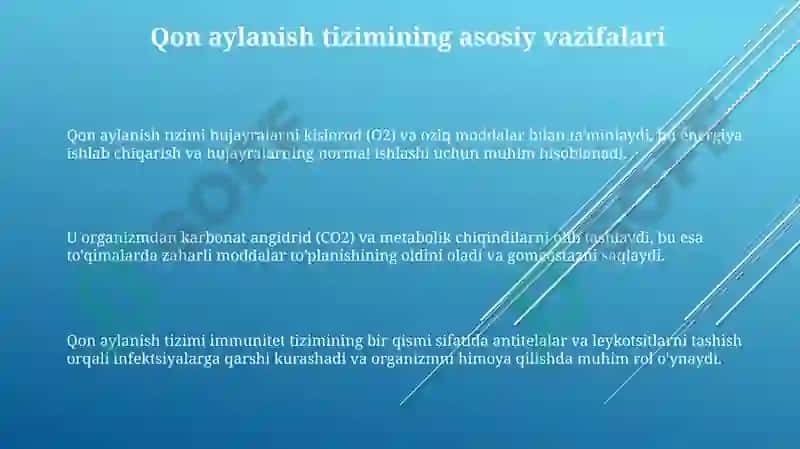 Qon aylanish tizimi 3