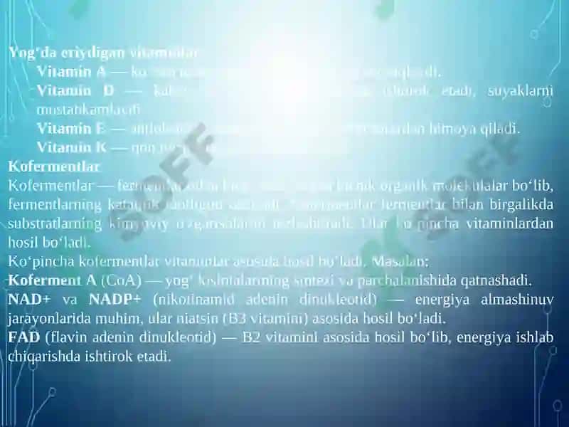 Vitaminlar va kofermentlar 3