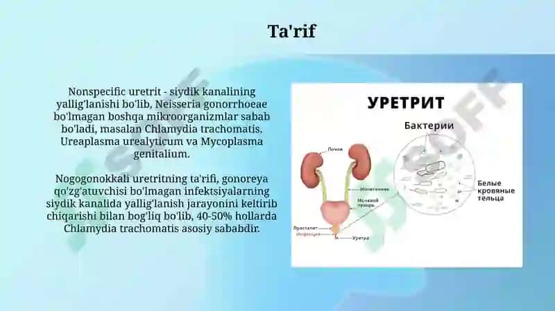 Nogonokokli uretritlar 3