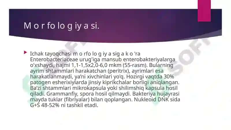 Ichak infeksiyalari qo`zg`atuvchilari: Esherixioz qo`zg`atuvchisi 3