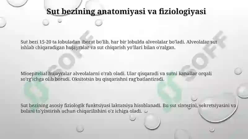 Sut bezlari faoliyatining boshqaruvi 3