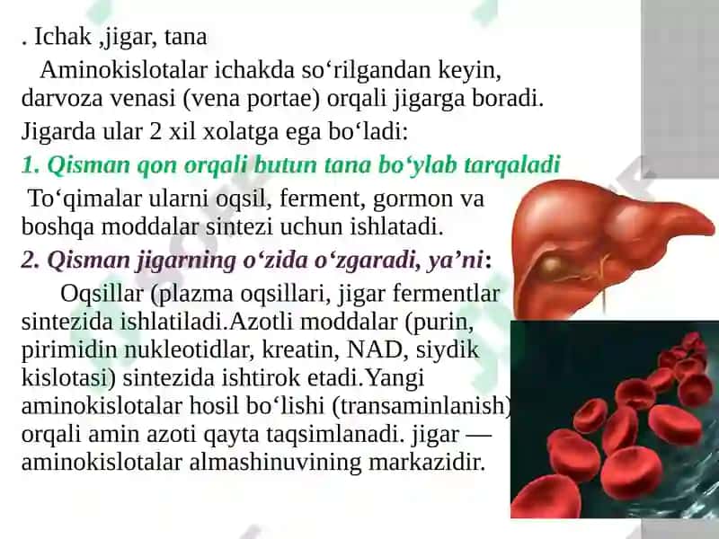 Aminokislotalarning safarbarlanishi 3