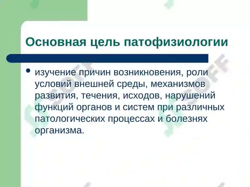 Введение в патофизиологию 3