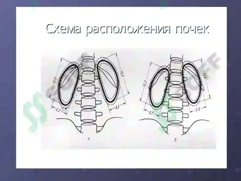 Нур диагностикаси 3