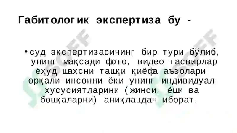 Суд-портрет экспертизаси 3