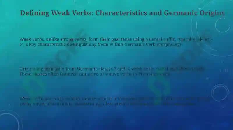 The development of weak verbs 3