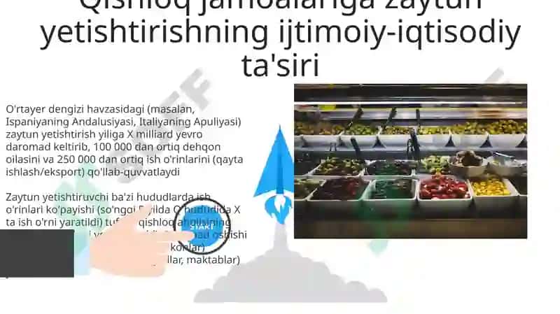 Zaytun yog'i bozori qiymati 3