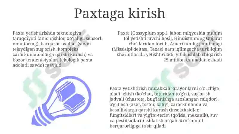 Paxta yetishtirishdagi kelajakdagi rivojlanishlar 3