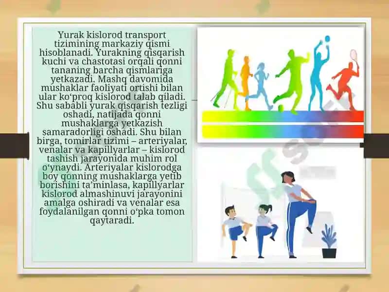 Kislorod Transport Tizimi va Chidamli 3