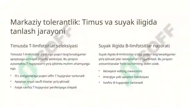 Immunologik tolerantlik nuqsonlari va autoimmun kasalliklar 3