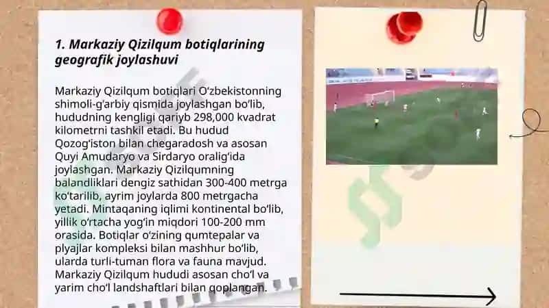 Markaziy Qizilqum botiqlari 3