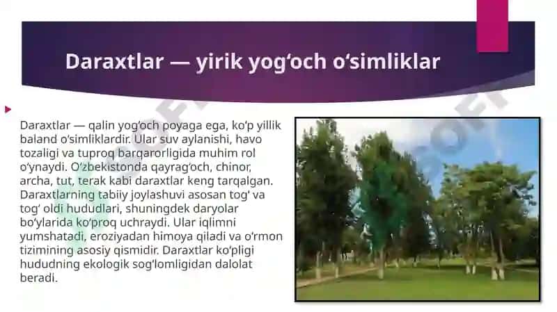 Oʻsimlik turkumlari va ularning tabiiy joylashishlari 3