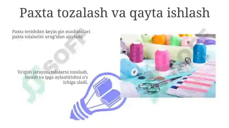 Paxta qòzichoq 3