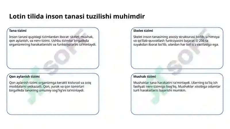 Lotin tili gaplarinining strukturasi 3
