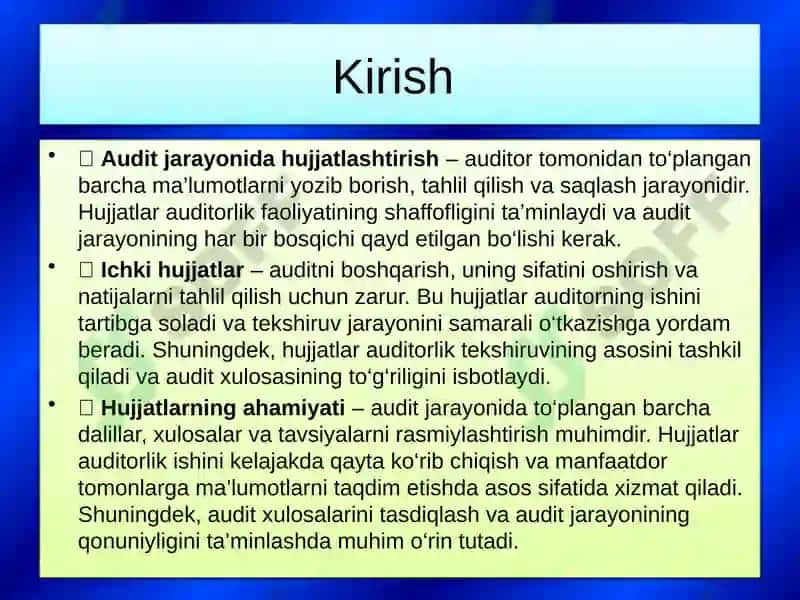 Auditni ichki hujjatlari 3