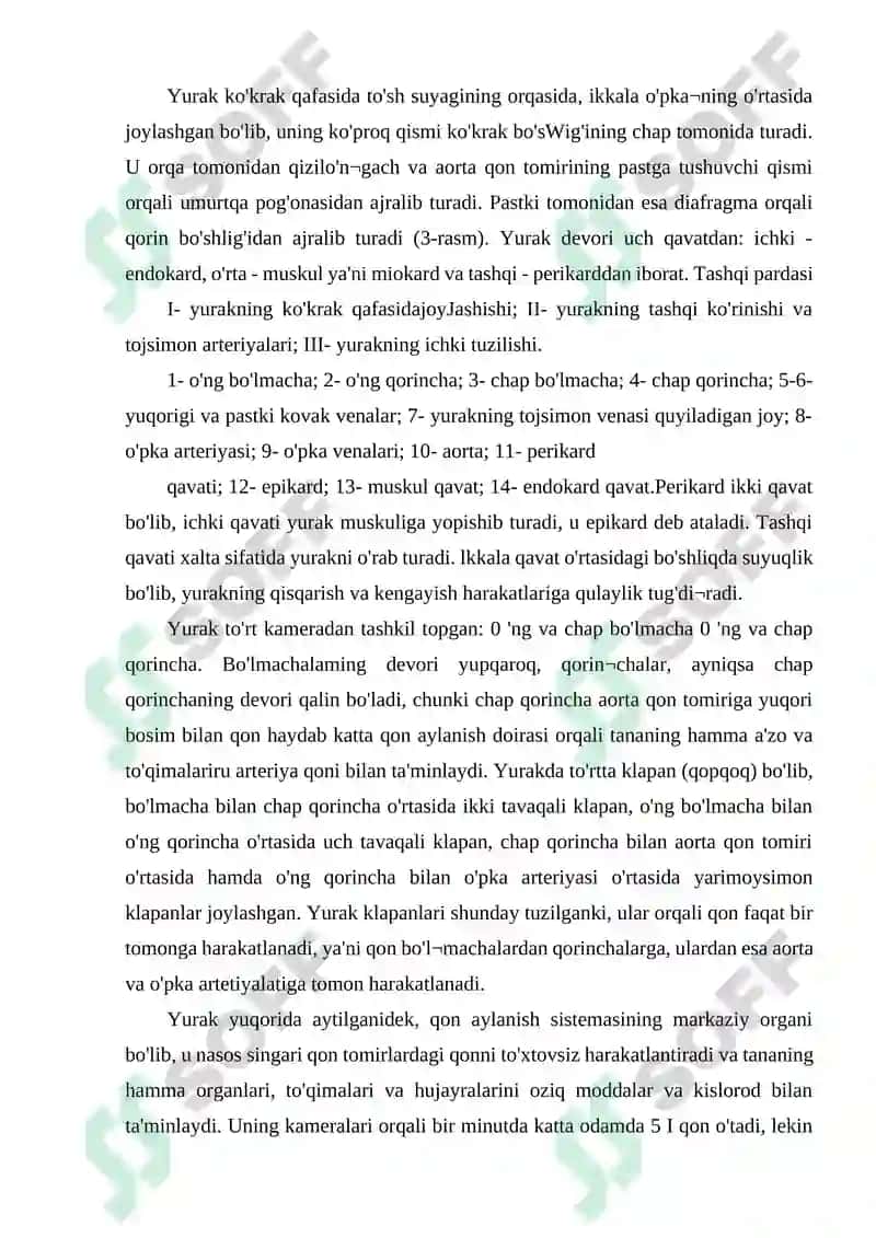 YURAK QON TOMIR GISTOLOGIYASI 3