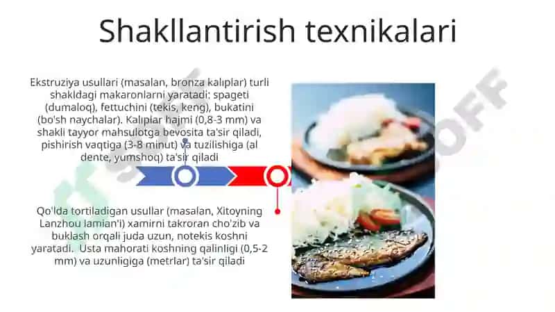 Maxsus Koshka Texnologiyalari 3