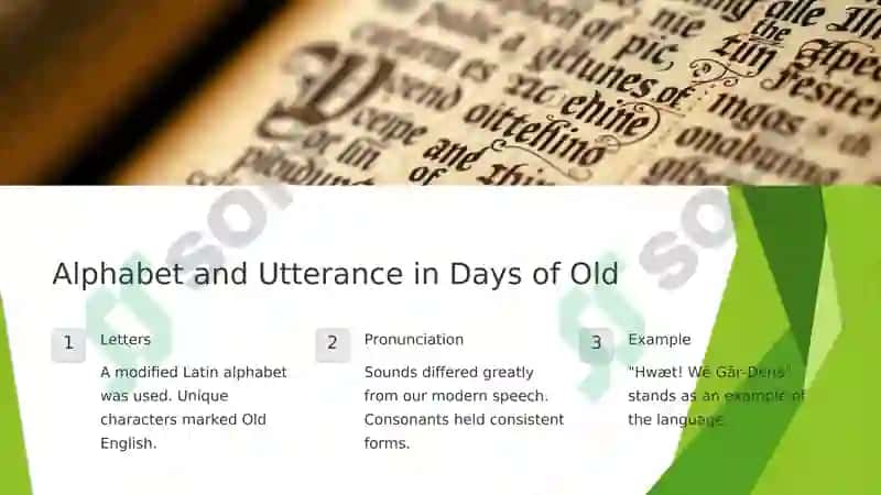 OLD ENGLISH 3