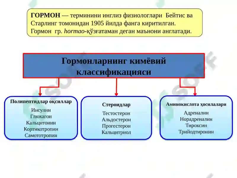 Организмдаги безлар 3