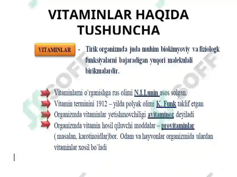 Vitaminlar haqida tushuncha 3