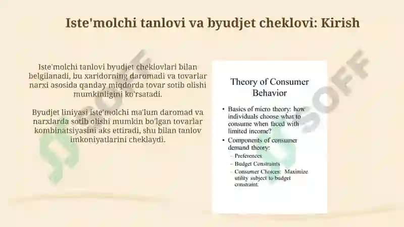 Iste'molchi tanlovi va byudjet cheklovi 3