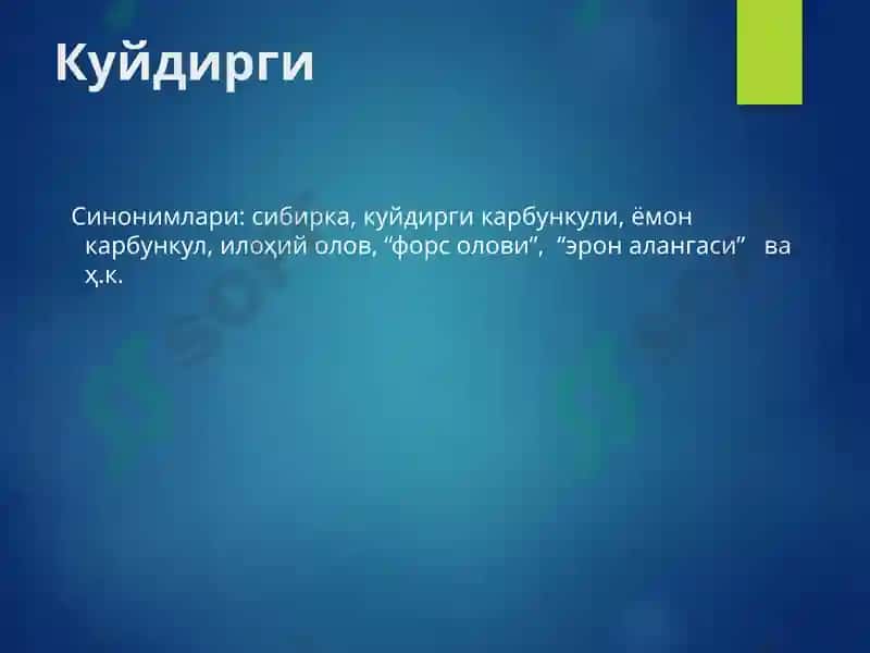Куйдирги (Anthrax) 3