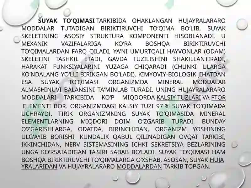Suyakto’qimasining mineral tarkibi 3
