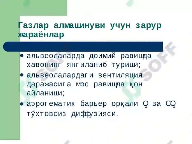 Ташқи нафастизими патофизиологияси 3