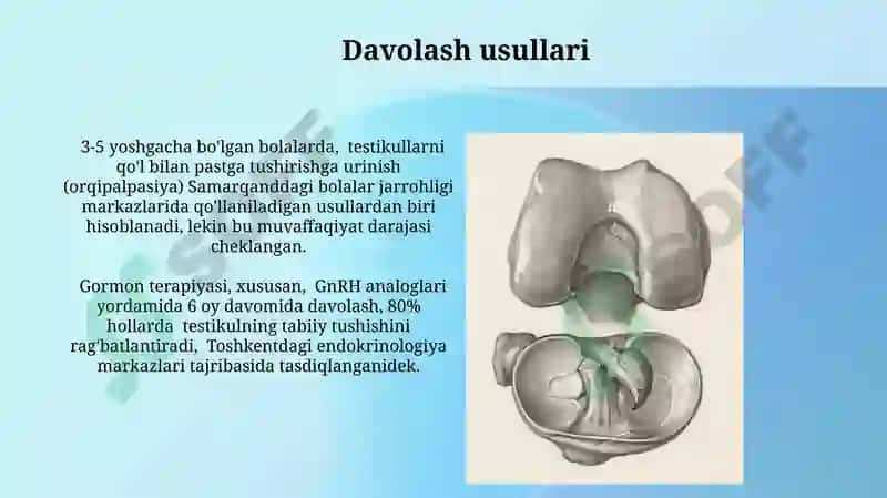 Moyakning yorg'oqga tushishi jarayoni 3