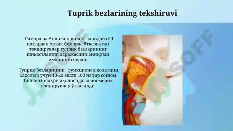 Tuprik Bezlarining Anatomiyasi 3