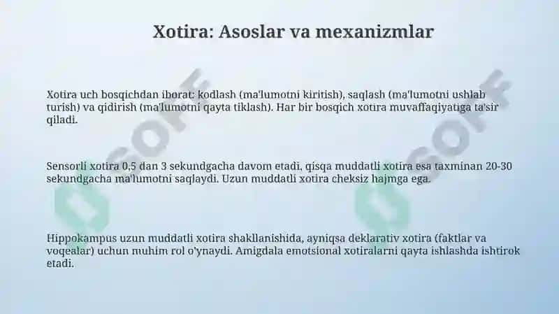 Xotiraidroktafakkurmaʼlumot 3