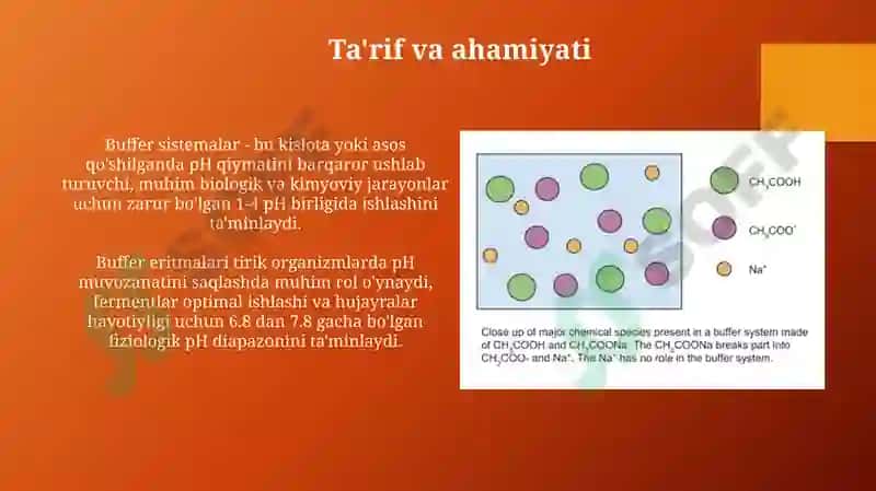 Buffer sistemalar 3