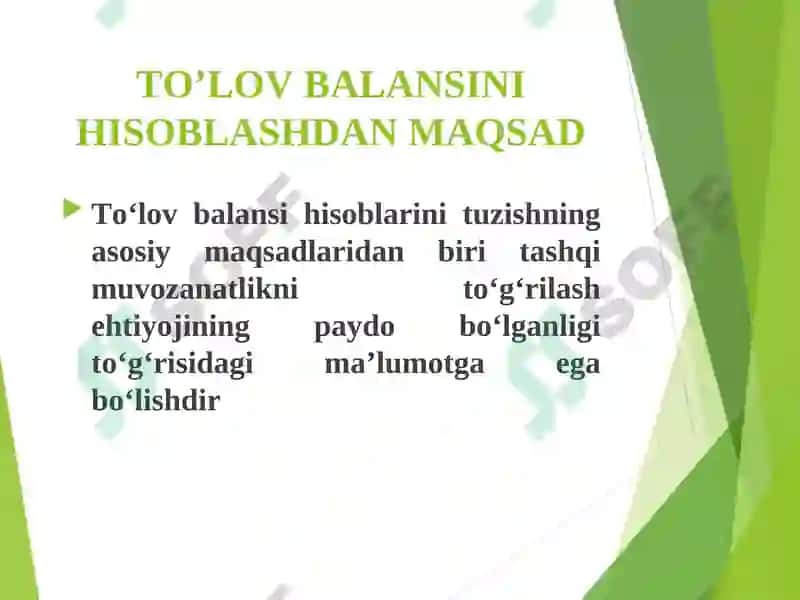 TO‘LOV BALANSINING IQTISODIY TAHLILI 3