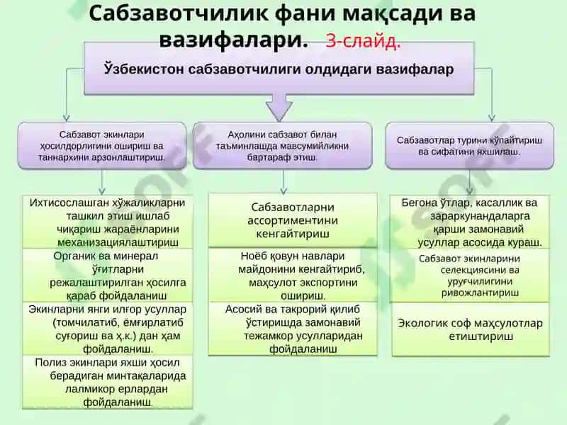 Сабзавотчилик фани 3