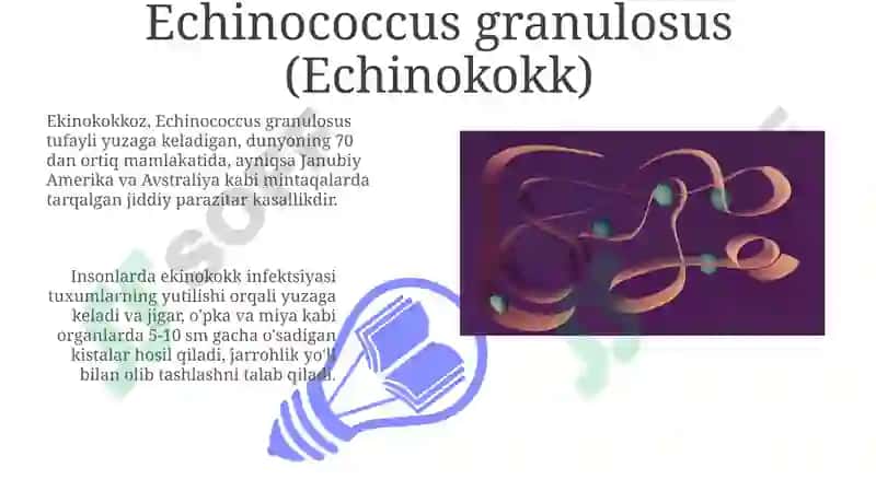 Tibbiy gelmintologiya: tasmasimon chuvachanglar 3