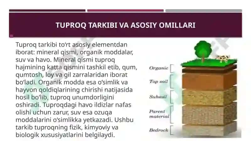 Tuproq va uning tabiiy xususiyatlari 3