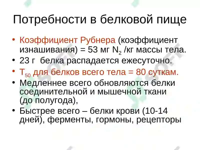 Обмен белка и аминокислот 3