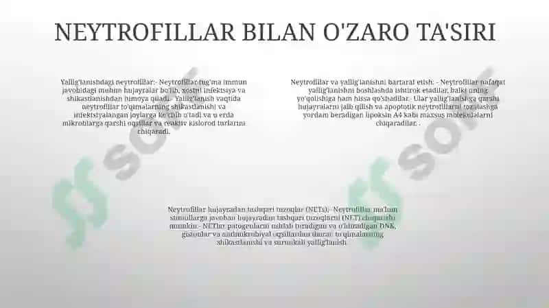 Yallig'lanish reaksiyasi vaqtida hujayralarning o'zaro tasiri 3
