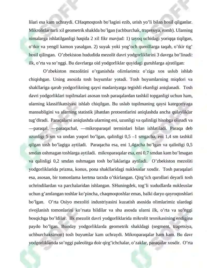 Yevropada mezolit davri 3