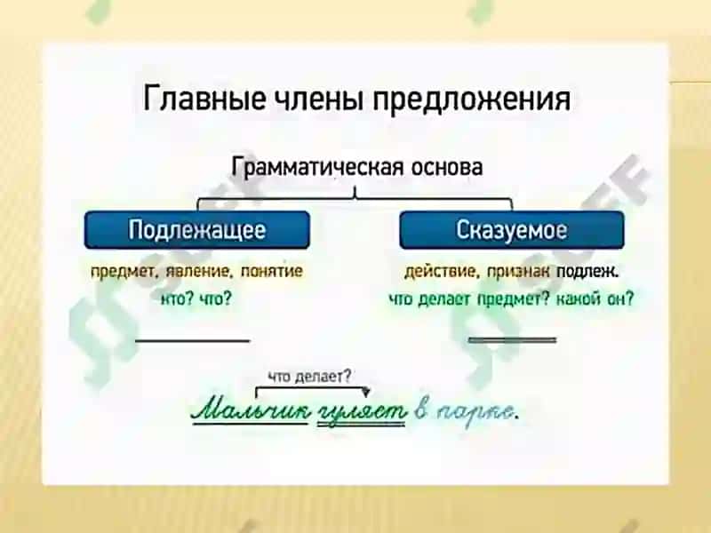 Иккинчи даражали гаплари 3