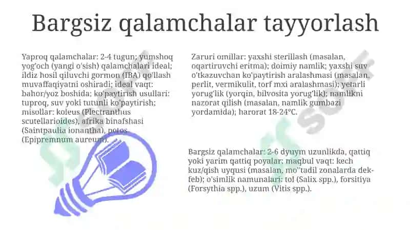 Bargsiz qalamchalar tayyorlash 3