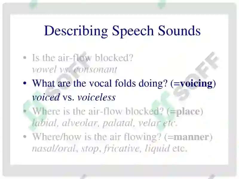 THE SYSTEM OF ENGLISH consonant PHONEMES 3