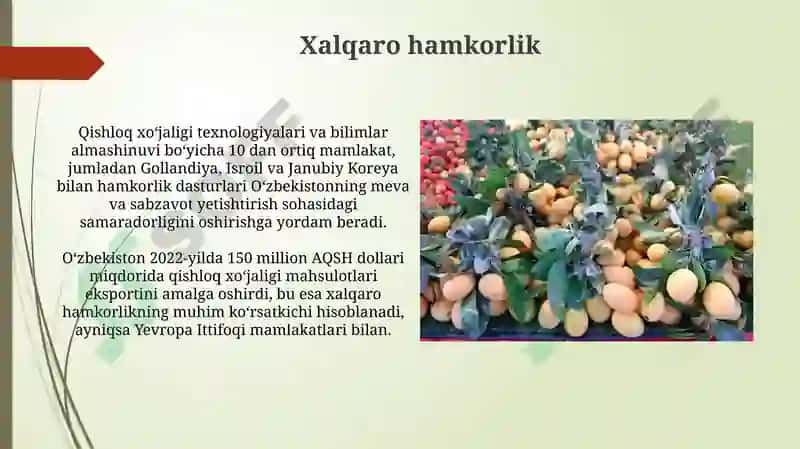 OʻZBEKISTON MEVA VA SABZAVOTCHLIK JAVOXIR 3