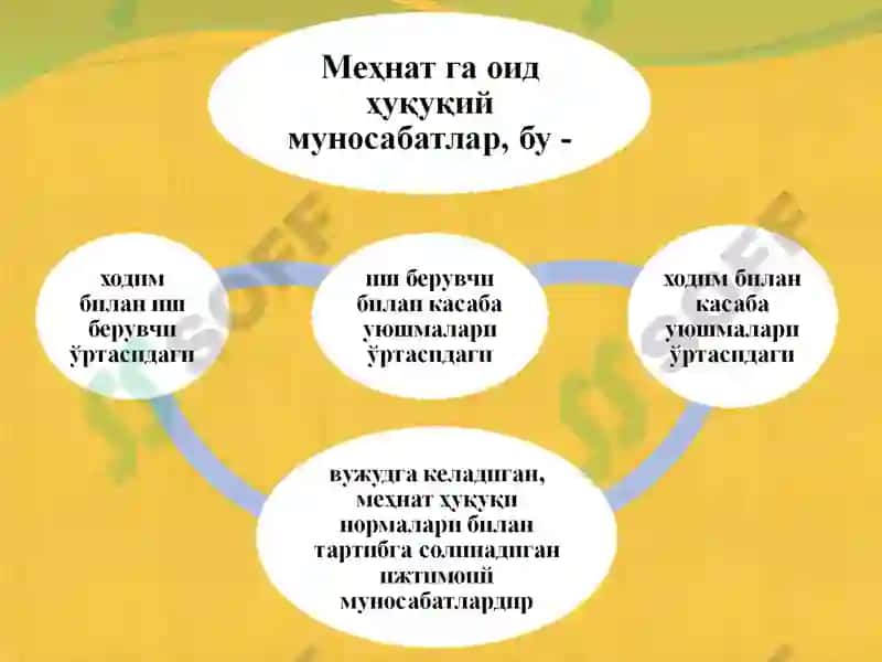 МЕҲНАТГА ОИД ҲУҚУҚИЙ МУНОСАБАТЛАР 3