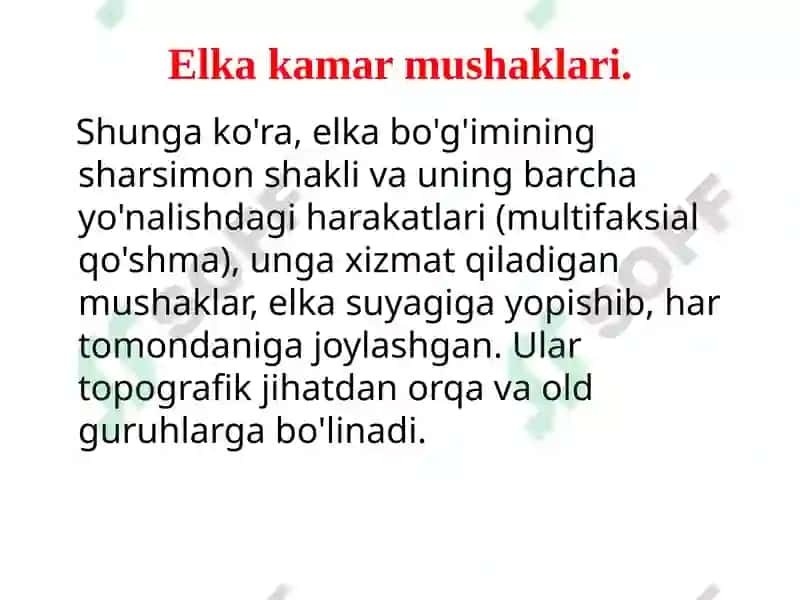 Qo‘l muskullari 3