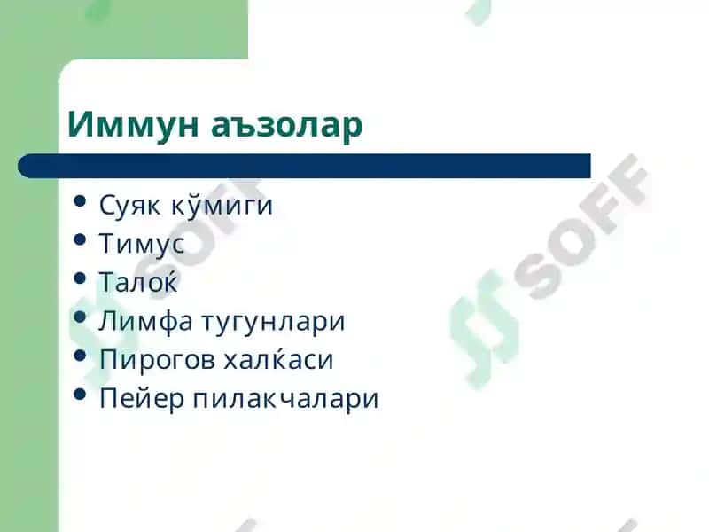 Иммун тизим патофизиологияси 3
